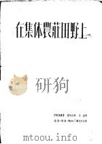 在集体农荘田野上 1951 PDF电子版封面 安格林娜著;陆梅林译