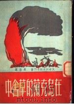 在乌克兰的草舍中（ PDF版）
