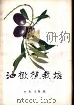 油橄榄栽培 1975 PDF电子版封面 16144·1705 农业部林业局编