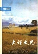 大理风光 1982 PDF电子版封面 R12113·14 杨美清著