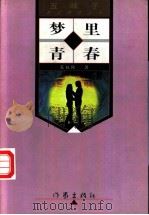 梦里青春   1998  PDF电子版封面  7506313731  李叔阳著 