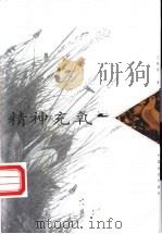 精神充氧 1999 PDF电子版封面 7801461320 王乾荣著