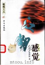 江湖感觉 1998 PDF电子版封面 7507507300 高洪波著