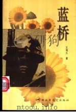 蓝桥 1999 PDF电子版封面 7503310596 王鸣久著