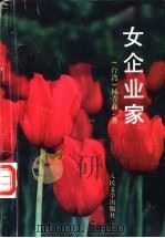 女企业家   1996  PDF电子版封面  7020023207  （台湾）杨青矗著 
