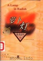 萝卜灯 1999 PDF电子版封面 753825482X 江音著