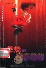 燃烧的青春隐秘 1999 PDF电子版封面 7538514414 杨玉祥著