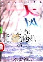 大风起兮云飞扬 1998 PDF电子版封面 7506534924 杨闻宇著