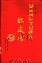 湖南精神文明建设红皮书 1999 PDF电子版封面 7543820633 沈其新主编