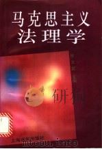 马克思主义法理学 1993 PDF电子版封面 780514950X 修义庭主编