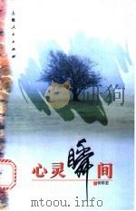 心灵瞬间 1996 PDF电子版封面 7208024251 何怀宏著