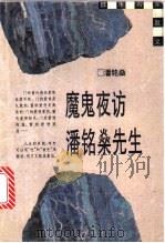 魔鬼夜访潘铭燊先生 1996 PDF电子版封面 7208022291 潘铭燊著
