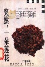 突然,一朵莲花 1996 PDF电子版封面 7208022356 黄维梁著