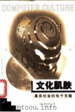 文化肌肤 真实社会的电子克隆 1998 PDF电子版封面 7810284975 (加拿大)德克霍夫(Derrick de Kerckhove