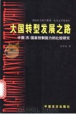 大国转型发展之路 中俄 苏 国家控制能力的比较研究 1999 PDF电子版封面 7801281888 关海庭著
