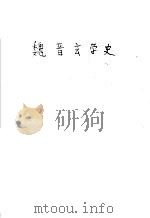 魏晋玄学史 1989 PDF电子版封面 7561302355 许抗生等著