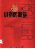 小奏鸣曲集 1955 PDF电子版封面 710300370X 克勒编