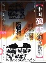 中国碑帖真伪鉴别 1999 PDF电子版封面 7533722469 陈根远等编著
