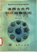 滇西古生代棘皮动物化石 1993 PDF电子版封面 7116012389 陈重泰,姚吉惠编著