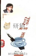足球 麻将 酒 1998 PDF电子版封面 7540418451 林为进著