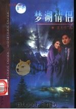 梦湖情侣 1999 PDF电子版封面 7505932748 沈大力著