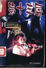 第十三层 1999 PDF电子版封面 7221043779 远藤志雄著;徐瑶译