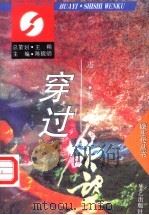 穿过欲望 1995 PDF电子版封面 7800397122 述平著