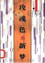 玫瑰色的新梦   1997  PDF电子版封面  7801420101  王乾荣著 