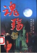 魂殇 1997 PDF电子版封面 7505925776 孙汝春著