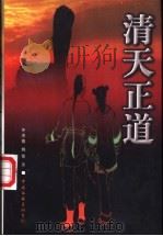 清天正道   1998  PDF电子版封面  7505928376  齐济南，姚俊著 