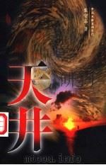 天井 1997 PDF电子版封面 7505926683 张守志著