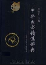 中华医方精选辞典  下   1998  PDF电子版封面  7543911663  彭怀仁主编 