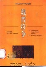 魏晋纷争 1996 PDF电子版封面 7535413609 傅隆基编著