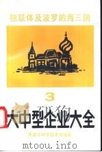 独联体及波罗的海三国大中型企业大全  第3分册  机械电子产品（1993 PDF版）