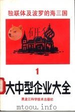 独联体及波罗的海三国大中型企业大全 第1分册 黑色有色金属 1993 PDF电子版封面 7538821732 罗应立,周立群主编