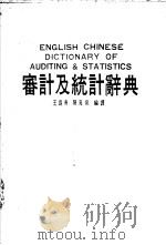 审计及统计辞典（1988年04月 PDF版）
