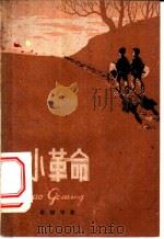 小革命 1959 PDF电子版封面 R10024·2286 姜国华著