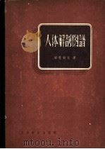 人体解剖图谱 1958 PDF电子版封面 14120·3603 (美)安逊(B.J.Anson)著;郑思竞等译