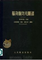 脑脊髓切片图谱 1954 PDF电子版封面 (瑞士)威理格尔(E.Villiger)原著;(英)拉斯麻荪
