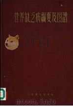 营养缺乏病纲要及图谱 1957 PDF电子版封面 14048·1104 侯祥川编著