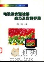 电视机快速检修技巧及实例手册 1997 PDF电子版封面 7502812857 康浩,高崧主编