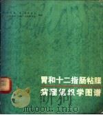 胃和十二指肠粘膜病理组织学图谱 1982 PDF电子版封面 14093·74 (苏)Л.别尔林,Б.利索奇金,Г.沙弗诺夫,В.乌斯宾斯基