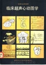 临床超声心动图学 M型与B型对照 1986 PDF电子版封面 14204·142 卢少贤主编;卢少贤,李善康,包梅芳,高梅,黄季春编