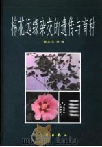 棉花远缘杂交的遗传与育种 1999 PDF电子版封面 7030067835 梁正兰等著
