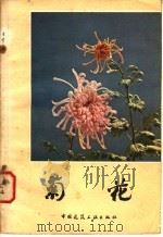 菊花 1984 PDF电子版封面 15040·4609 姚毓编著
