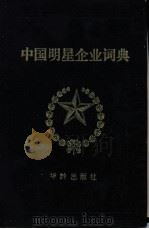 中国明星企业词典 1990 PDF电子版封面 7800820637 丁洪章等主编