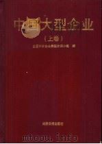 中国大型企业 上 1993 PDF电子版封面 7800368203 叶青,张彦宁主编;全国划分企业类型协调小组编
