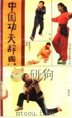 中国功夫辞典 1987 PDF电子版封面 7534800145 李春生主编