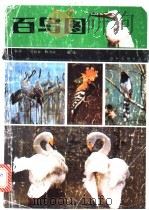 百鸟图 1988 PDF电子版封面 7102001118 陈效一等编绘