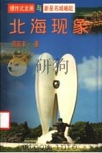 北海现象 爆炸式发展与新星名城崛起 1999 PDF电子版封面 7508019350 周国丰著